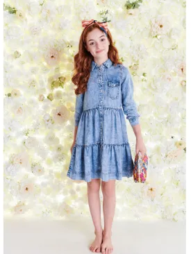 DENIM BUTTON DOWN DRESS