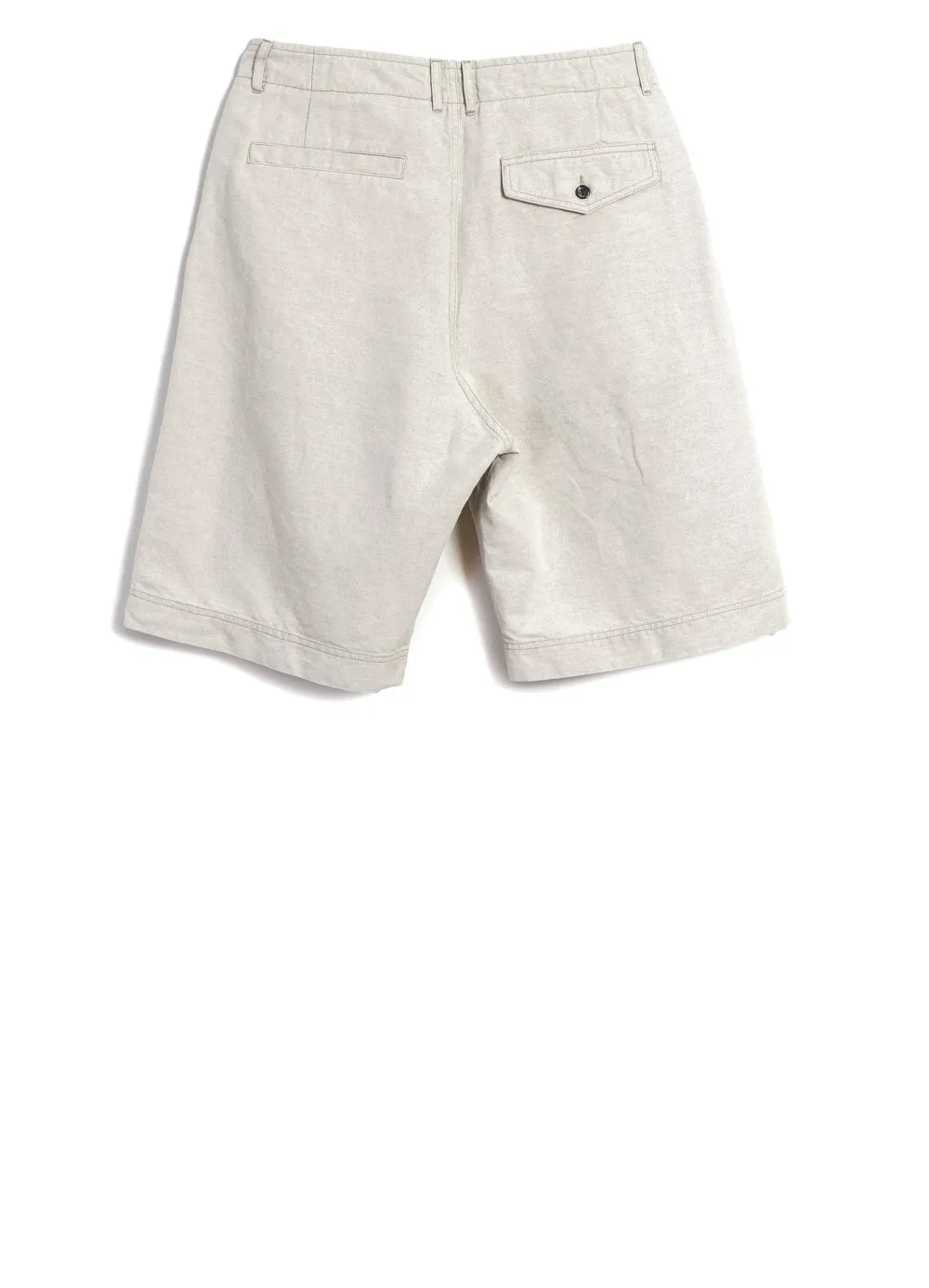 ROBIN | Super Wide Pleated Shorts | Flax Nature