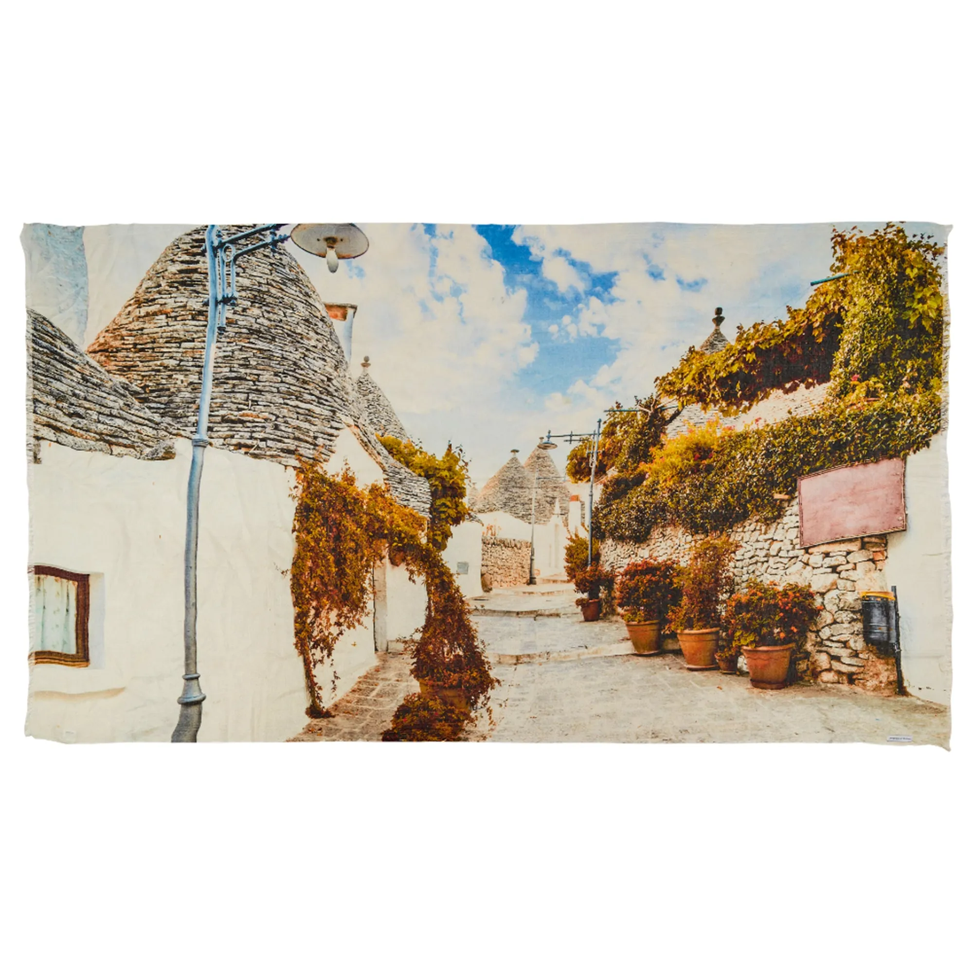 Street in Apulia Scarf